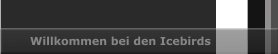 Willkommen bei den Icebirds