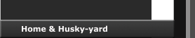 Home & Husky-yard