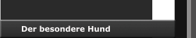 Der besondere Hund