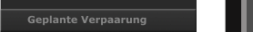 Geplante Verpaarung